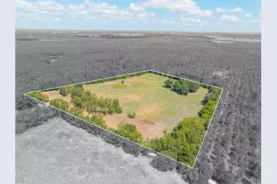 Tbd Cr 3365, Lovelady, TX 75851 - Photo 1