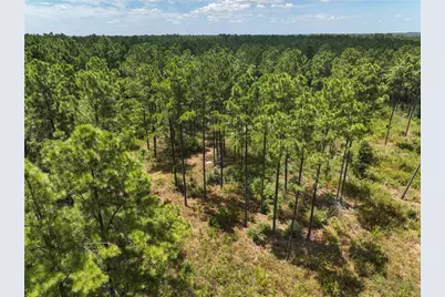 1 Richardson Road East, Livingston, TX 77351 - Photo 4