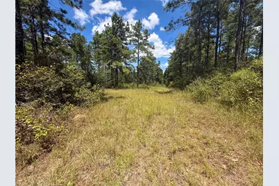 1 Richardson Road East, Livingston, TX 77351 - Photo 10