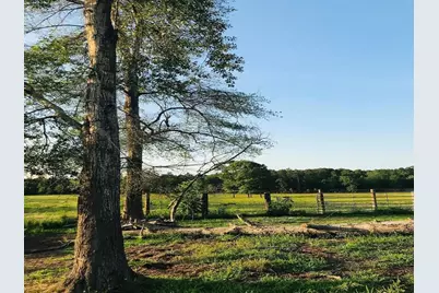 0.00 County Road 2178, Cleveland, TX 77327 - Photo 22