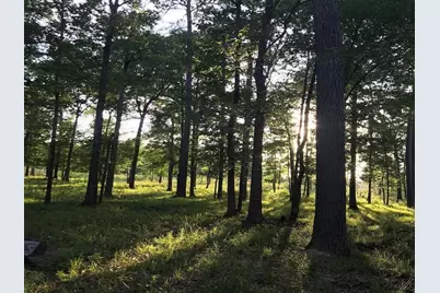 0.00 County Road 2178, Cleveland, TX 77327 - Photo 18