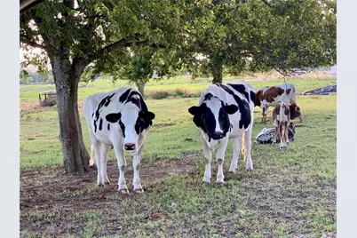 6572 Sandy Hill Road, Brenham, TX 77833 - Photo 12