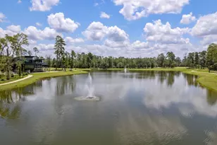 226 Skybranch Ct, Conroe, TX 77304 - Photo 42