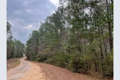 3 Union Springs Road, Corrigan, TX 75939 - Photo 4