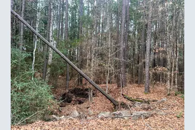 3 Union Springs Road, Corrigan, TX 75939 - Photo 8