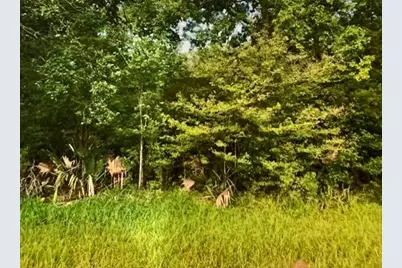 0000 Hasema, Van Vleck, TX 77482 - Photo 6