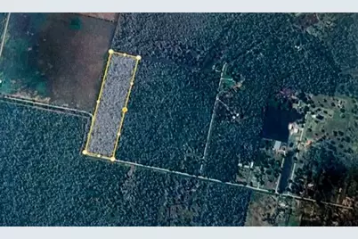 0000 Hasema, Van Vleck, TX 77482 - Photo 4