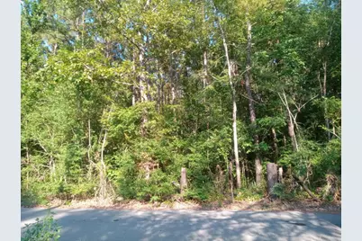 0 Piney Lane, Coldspring, TX 77331 - Photo 4