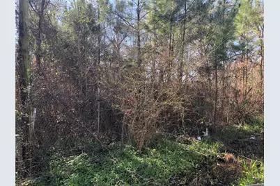 0 Piney Lane, Coldspring, TX 77331 - Photo 1