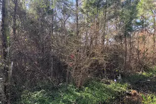 0 Piney Ln, Coldspring, TX 77331 - Photo 1