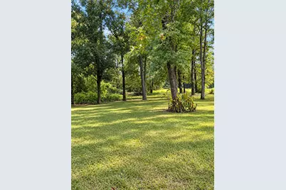 25710 Wildflower Drive, Magnolia, TX 77354 - Photo 2