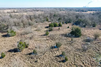 002 Prairie Groove Road, Bremond, TX 76629 - Photo 18