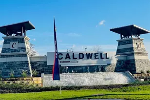 7719 Golden Rubia, Rosharon, TX 77583 - Photo 14