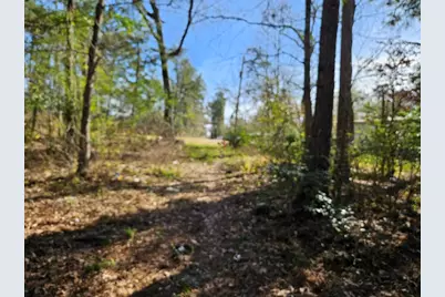 00 Coaltown Road, Willis, TX 77301 - Photo 14