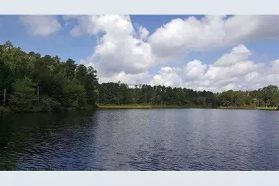 274 Hickory Drive E, Livingston, TX 77351 - Photo 8