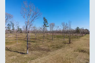 Lot 6 Johnson Drive, Livingston, TX 77351 - Photo 4
