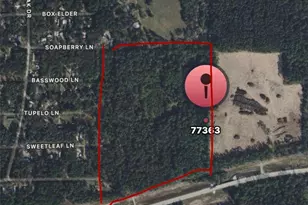 0035 Hwy 249, Plantersville, TX 77363 - Photo 1