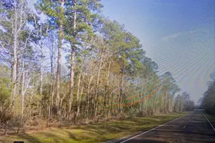 16071 FM252, Kirbyville, TX 75956 - Photo 2