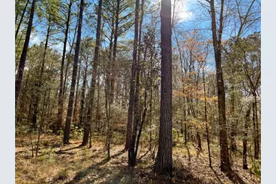 00 Howell Road, Corrigan, TX 75939 - Photo 6