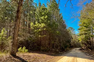 00 Howell Rd, Corrigan, TX 75939 - Photo 1