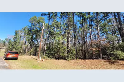 Tbd Hickory Circle, Point Blank, TX 77364 - Photo 4