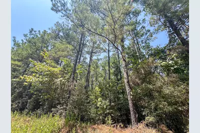 1 Fm 256, Colmesneil, TX 75938 - Photo 6