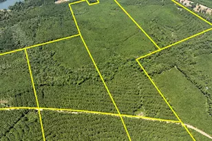 1 Fm 256, Colmesneil, TX 75938 - Photo 1