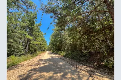 1 Fm 256, Colmesneil, TX 75938 - Photo 8