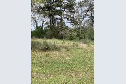 9470 US 96 S Hwy 96, Kirbyville, TX 75956 - Photo 4