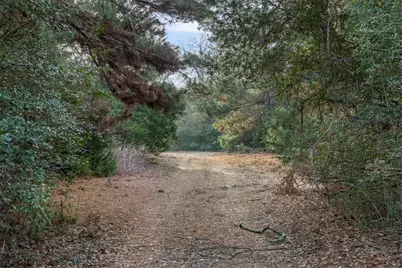 15147 County Road 499, Normangee, TX 77871 - Photo 8