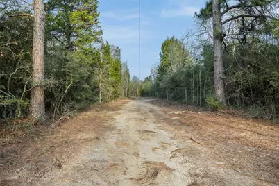 15147 County Road 499, Normangee, TX 77871 - Photo 6