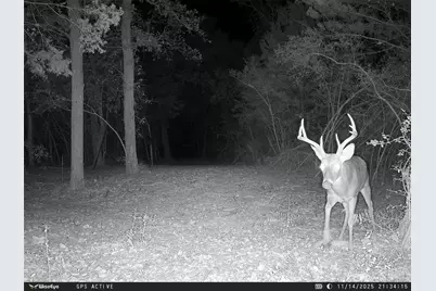 15147 County Road 499, Normangee, TX 77871 - Photo 24
