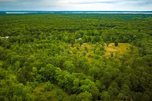 461 Fm 980 N, Point Blank, TX 77364 - Photo 36