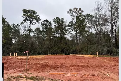 9028 Gracious Street, Montgomery, TX 77316 - Photo 8