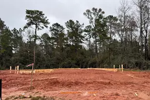 9028 Gracious St, Montgomery, TX 77316 - Photo 8