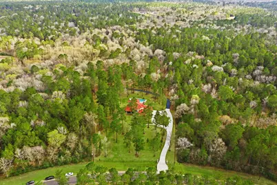 280 Sundog Road, Huntsville, TX 77340 - Photo 50