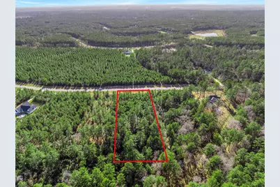 15762 Wood Grove Way, Willis, TX 77378 - Photo 10