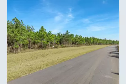 15762 Wood Grove Way, Willis, TX 77378 - Photo 6