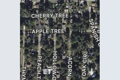 000 Apple Tree, Livingston, TX 77351 - Photo 1