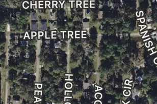 000 Apple Tree, Livingston, TX 77351 - Photo 1