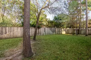 18 Petal Park Pl, The Woodlands, TX 77382 - Photo 36