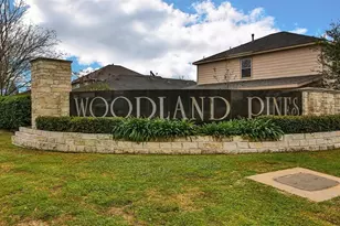 1907 Wooded Acres Dr, Humble, TX 77396 - Photo 24