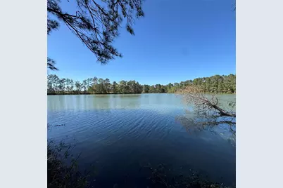 6274 Alder Creek Drive, Montgomery, TX 77316 - Photo 2