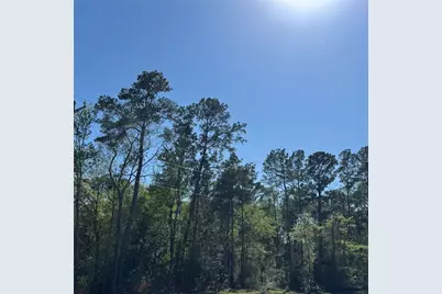 6274 Alder Creek Drive, Montgomery, TX 77316 - Photo 36