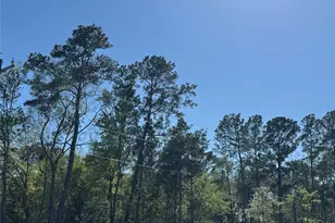 6274 Alder Creek Dr, Montgomery, TX 77316 - Photo 36