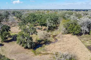 3992 County Rd 244, Brazoria, TX 77422 - Photo 30