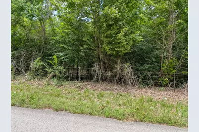 Tract 19 County Road 302, Navasota, TX 77868 - Photo 2