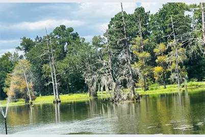 141 Walnut Loop Loop, Shepherd, TX 77371 - Photo 26