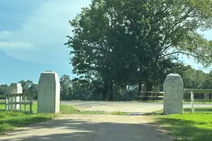 141 Walnut Loop Loop, Shepherd, TX 77371 - Photo 18