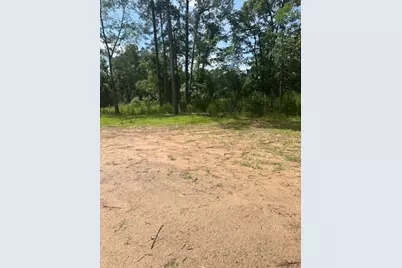 186 Adrian Hall Drive Drive, Cleveland, TX 77328 - Photo 10